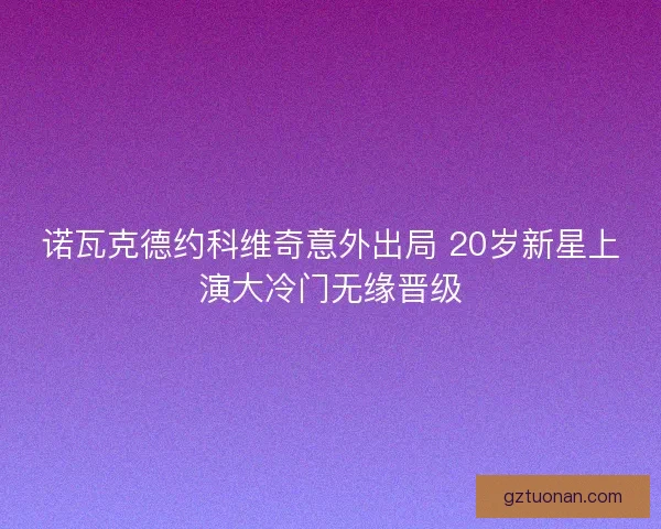 诺瓦克德约科维奇意外出局 20岁新星上演大冷门无缘晋级 诺瓦克德约科维奇意外出局 20岁新星上演大冷门无缘晋级